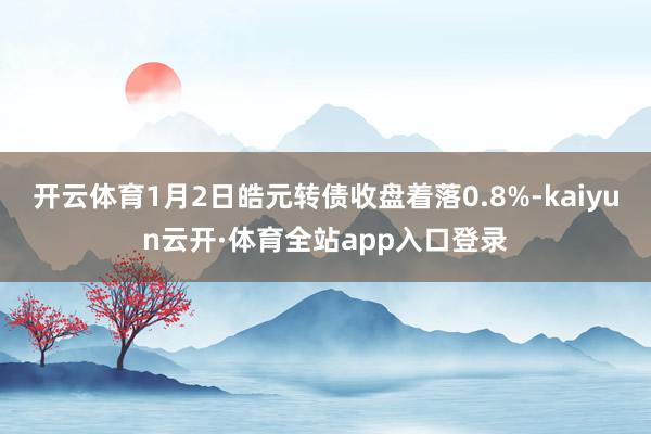 开云体育1月2日皓元转债收盘着落0.8%-kaiyun云开·体育全站app入口登录