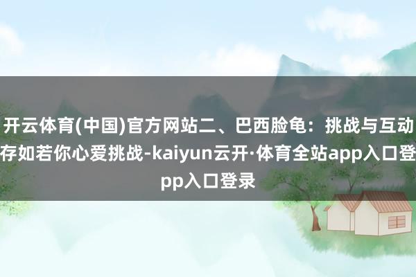 开云体育(中国)官方网站二、巴西脸龟:挑战与互动并存如若你心爱挑战-kaiyun云开·体育全站app入口登录